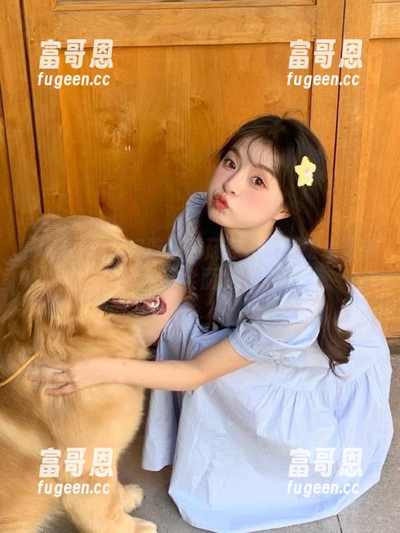517吃瓜蘑菇登录最新版本更新内容全面解析