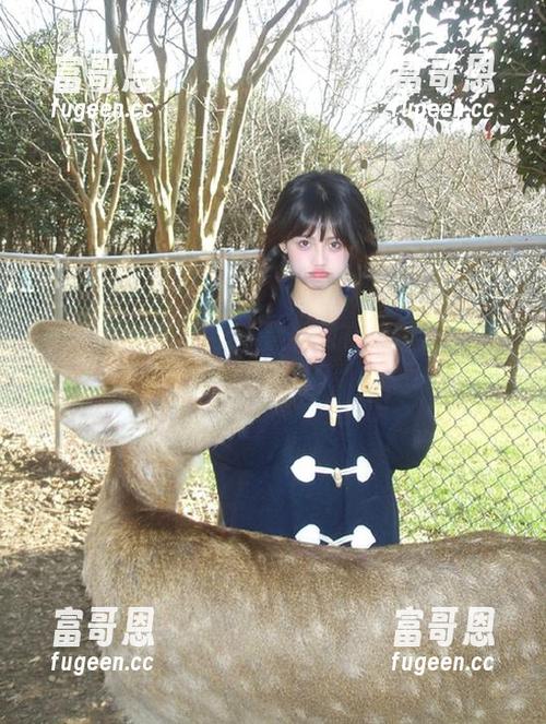 超实用51黑料网在线观看官网登录攻略来了