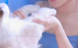 668.su黑料入口链接曝光，男生吃瓜必备神器盘点