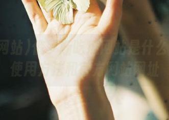 俄罗斯吃瓜网站是什么？在线使用方法和官方网站网址