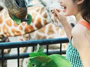 黑料不打烊cool网站永久在线，吃瓜黑料不打烊cool